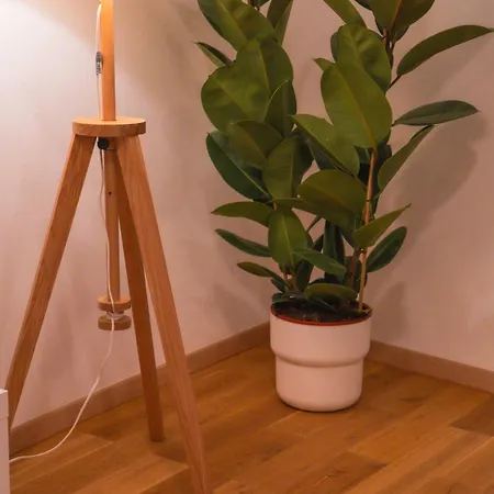 Xxxxxxx Apartment